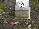 image of grave number 267850